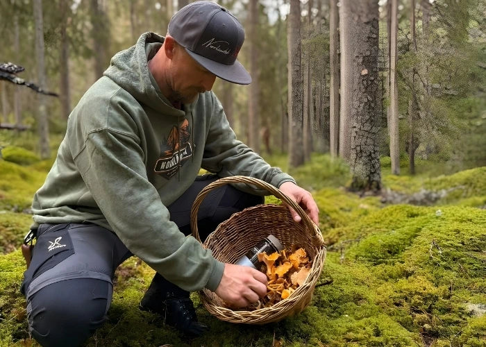 Man i skogsmiljö som plockar kantareller i en korg iklädd grön hoodie med Norrländsk Streetwear-tryck och svart snapbackkeps från Heart of North.